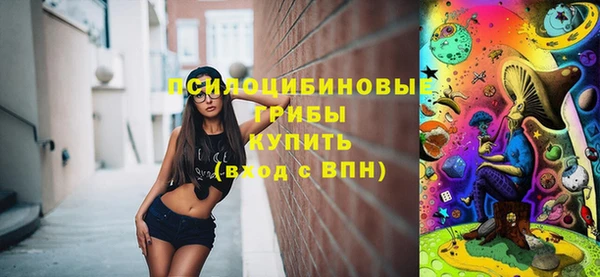 гашик Мегион