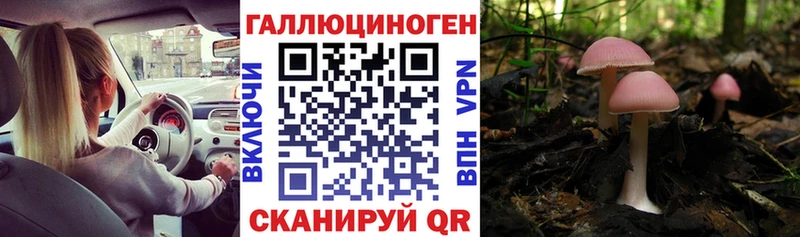 Псилоцибиновые грибы мицелий  Жуковский 